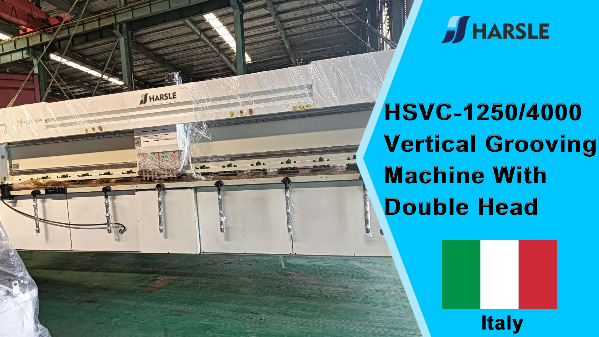 Italië-HSVC-1250/4000 verticale groefmachine met dubbele kop